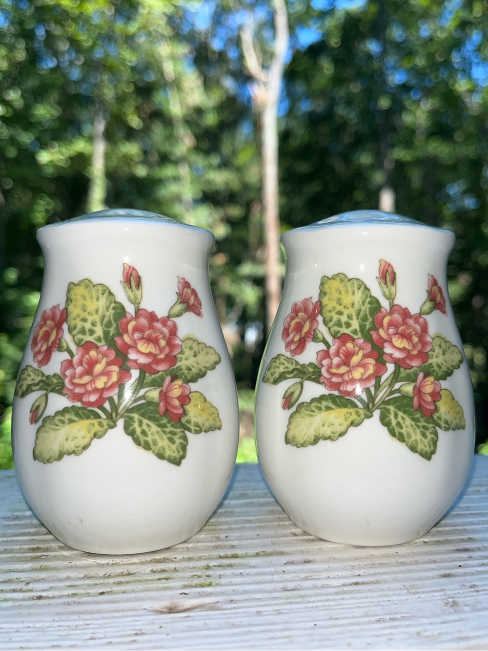 Vintage Noritake Fine China Gourmet Garden Salt & Pepper Shaker Set